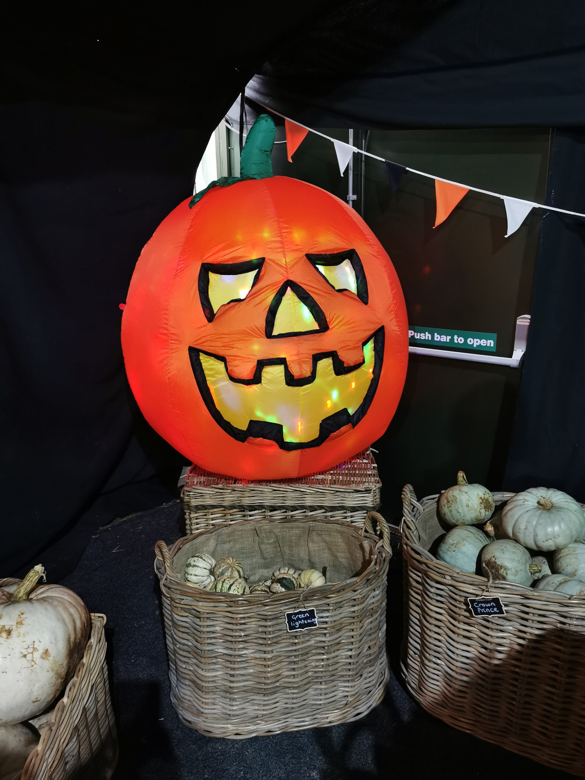 Halloween Pumpkin Festival at Willows Activity Farm.