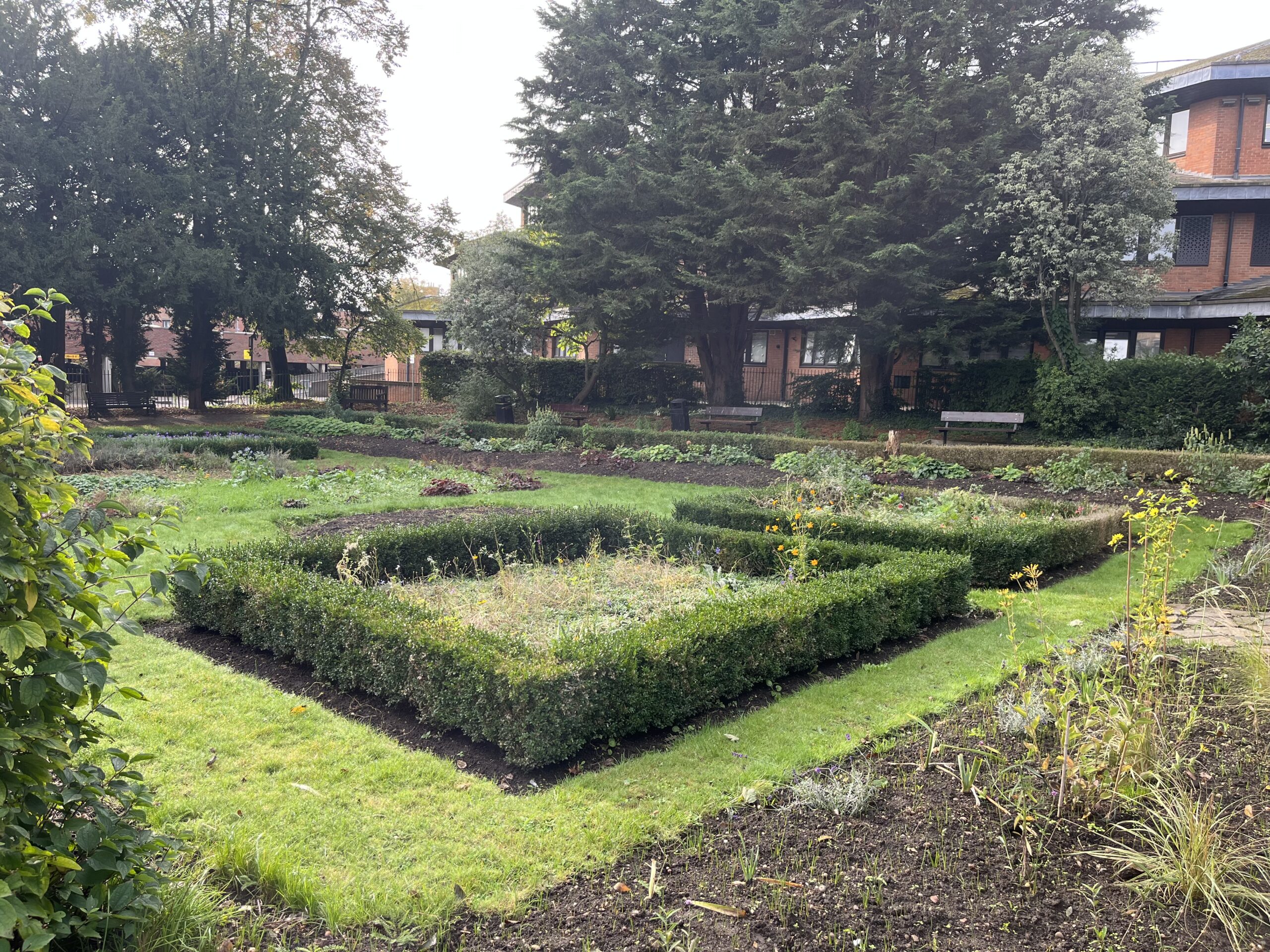 St Albans' Civic Rose Garden.