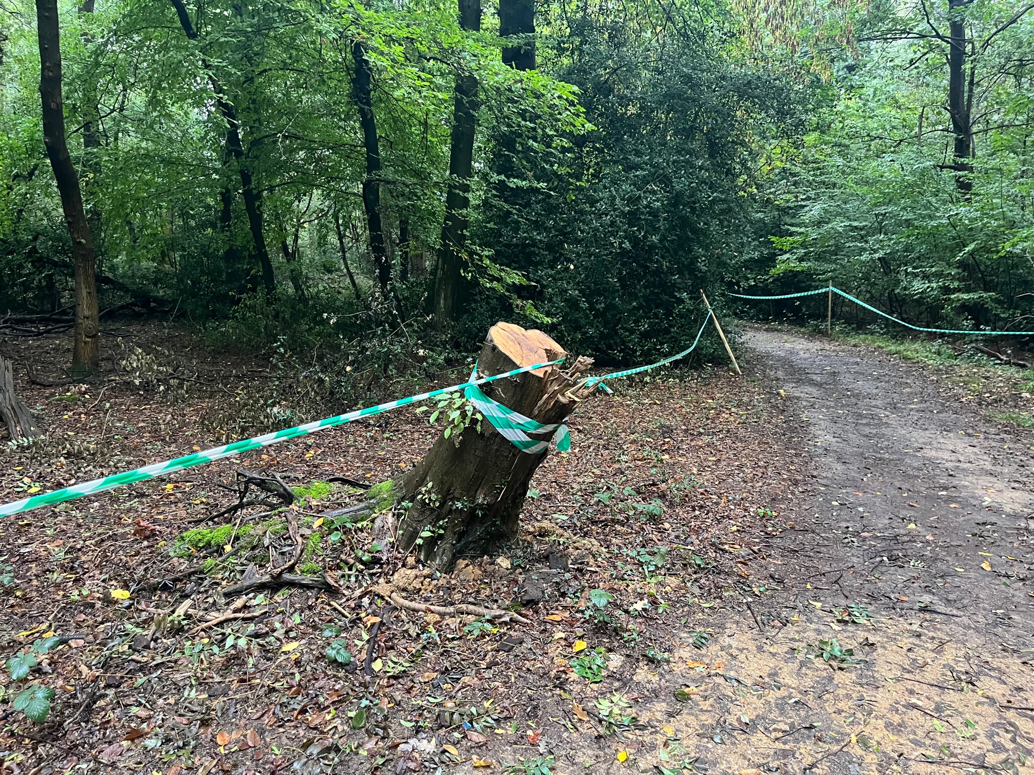Trees and vegetation appears to have been cut down to create an alternative footpath through Oaklands College.
