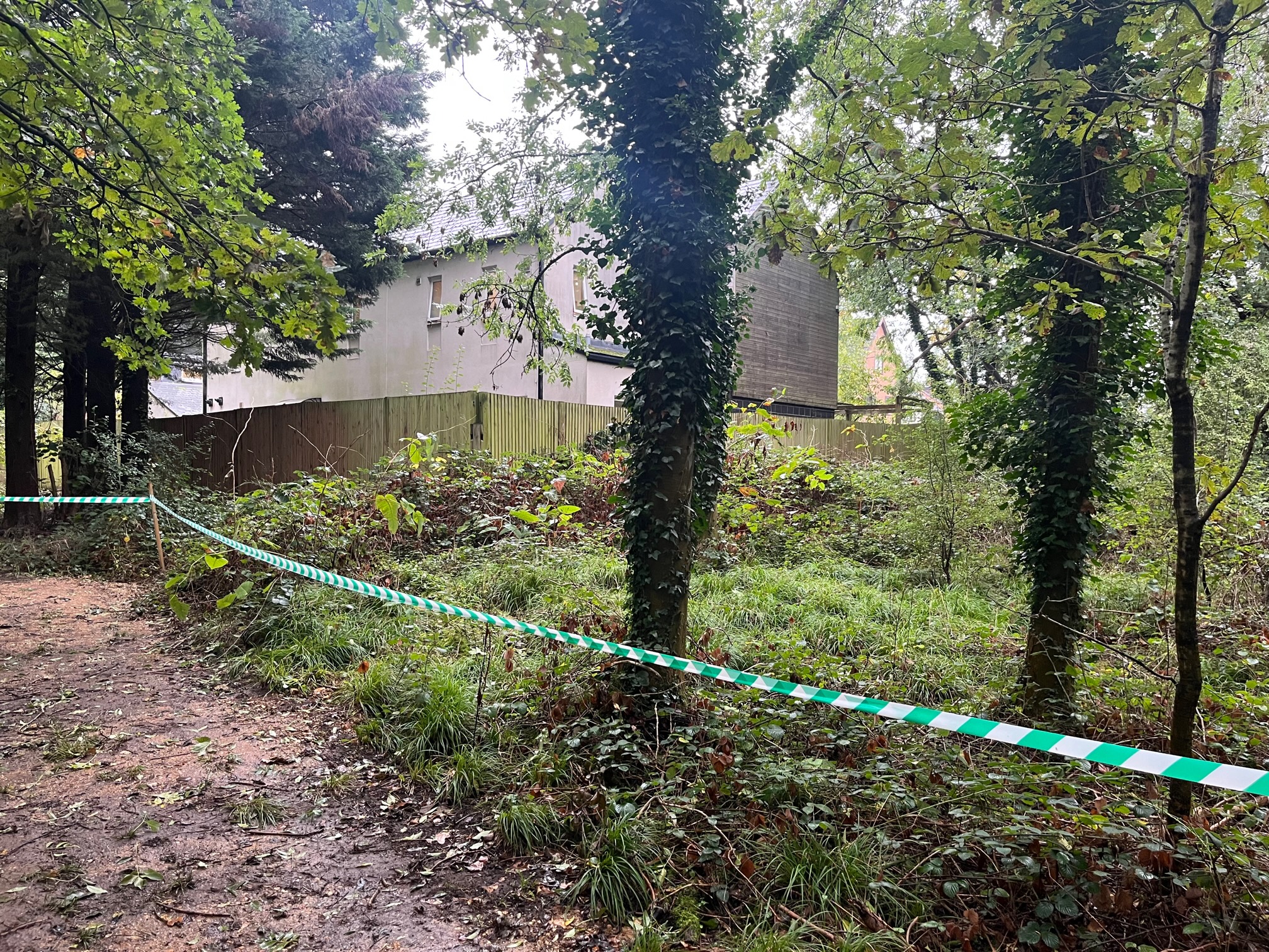 Trees and vegetation appears to have been cut down to create an alternative footpath through Oaklands College.