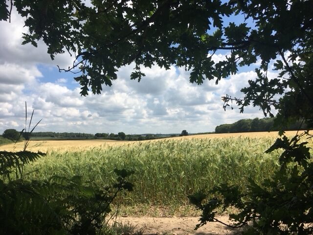Land to the north of St Albans included in the draft Local Plan.