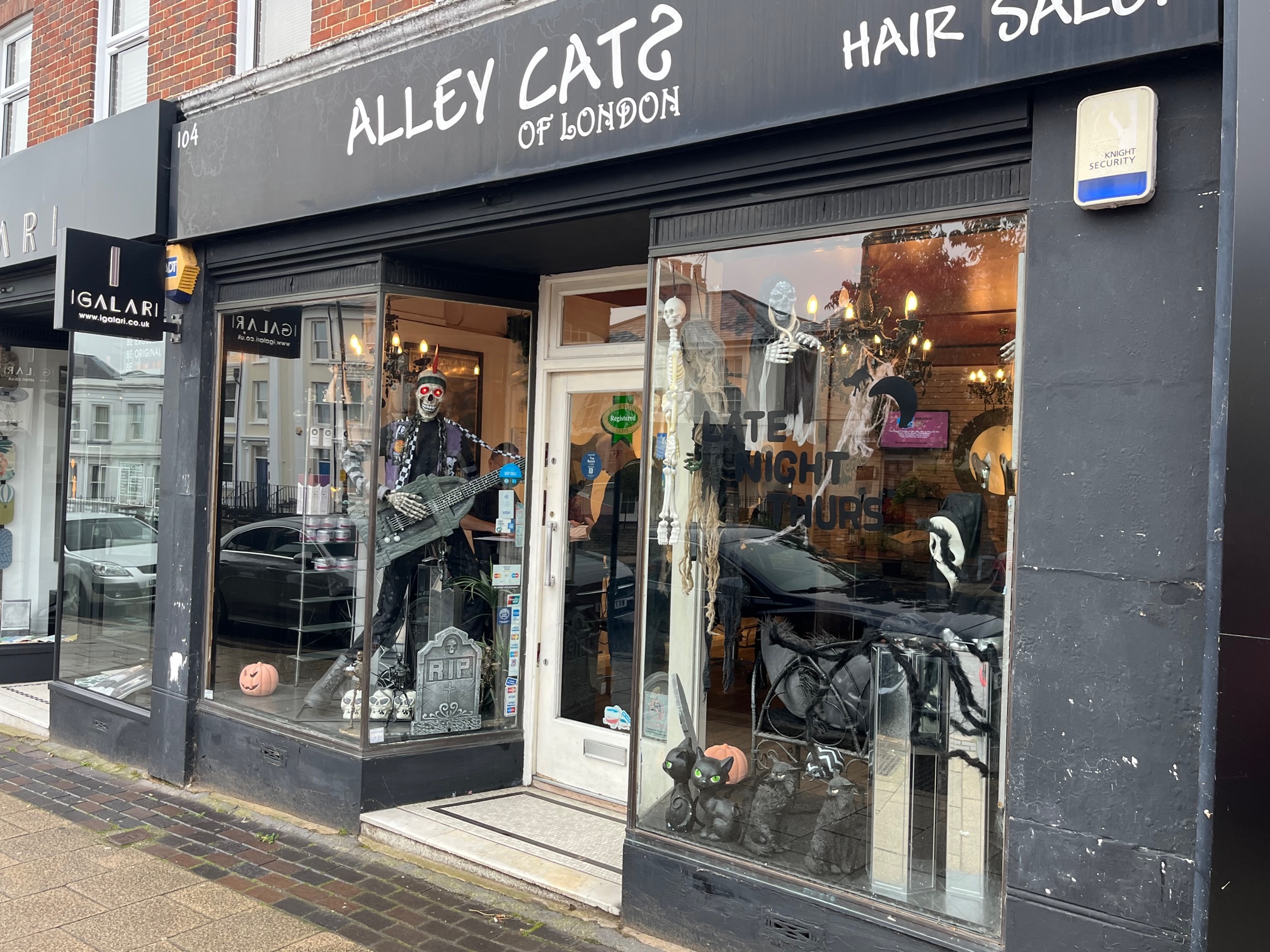 Alley Cats in London Road.