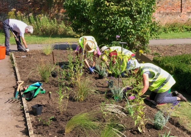 The Civic Rose Garden was in a state of neglect until volunteers began work to restore the space.