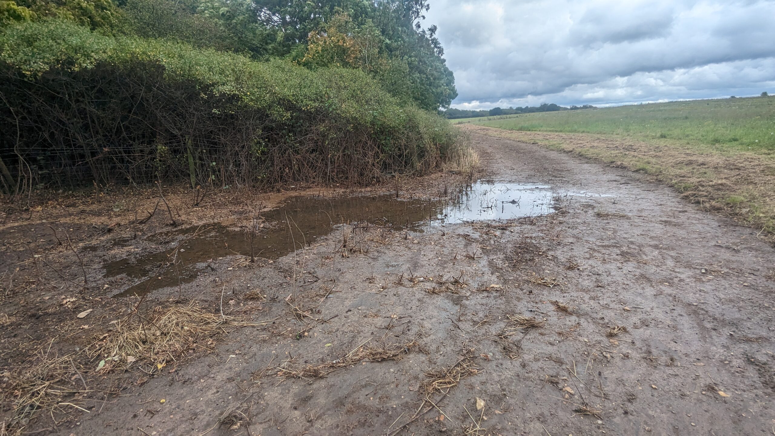 The alternative footpath through Oaklands College is muddy and incomplete. Photo: Mike Hartley