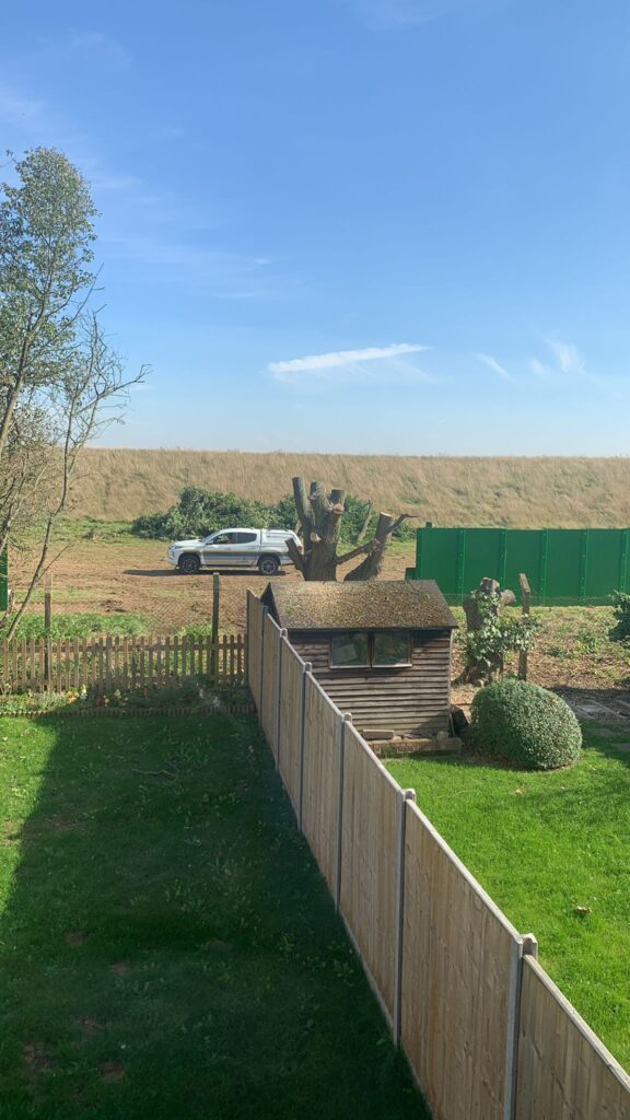 The tree behind Tash Alexander's garden was chopped down by contractors.
