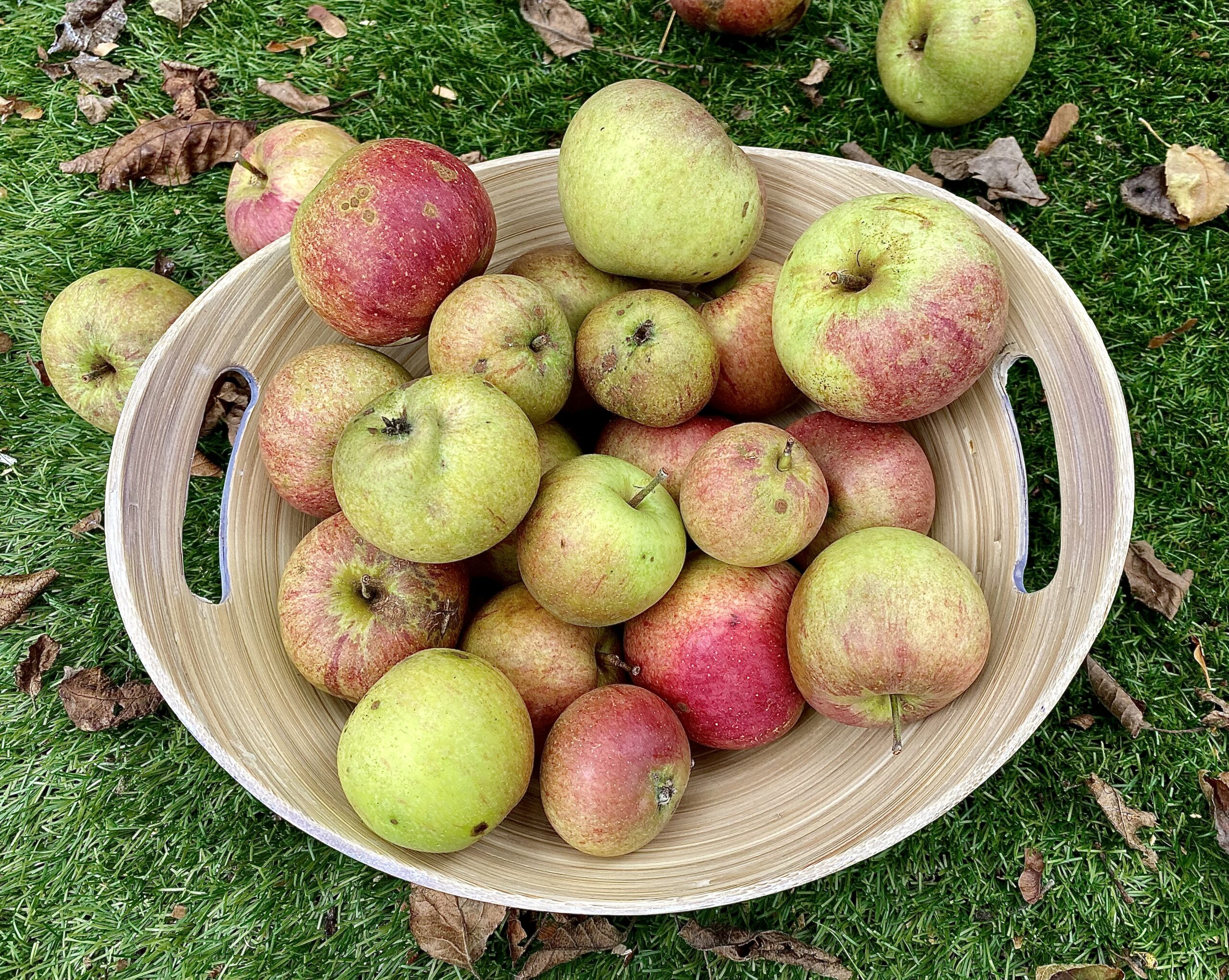 Wondering what to do with your apple glut?
