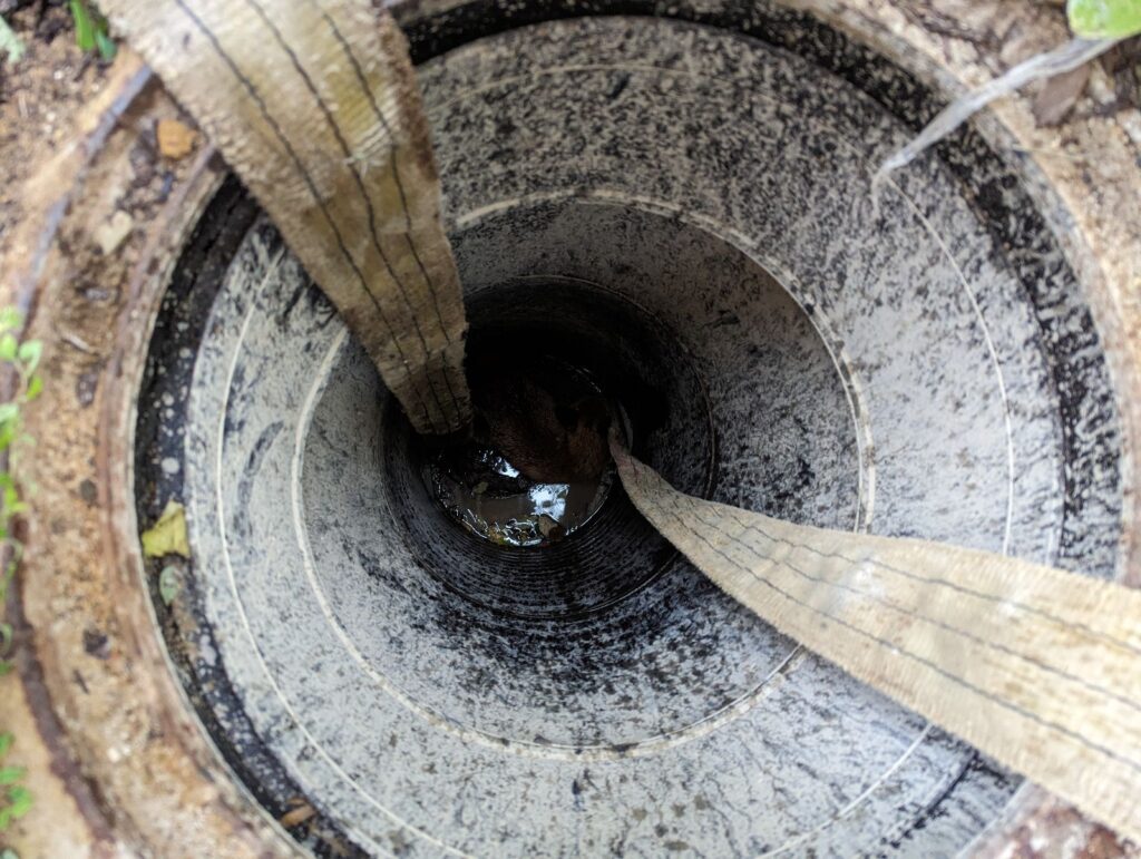 A fox was rescued from an open manhole by the RSPCA.
