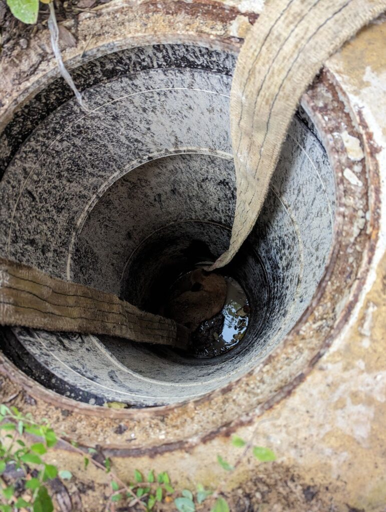 A fox was rescued from an open manhole by the RSPCA.