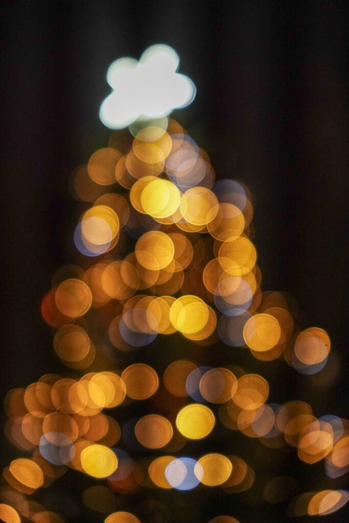 Harpenden Christmas Carnival. Photo: Hannah Hall