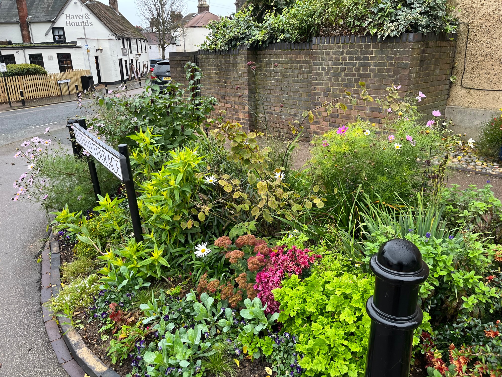 One of the guerrilla gardens in Keyfield Terrace, Cottonmill.