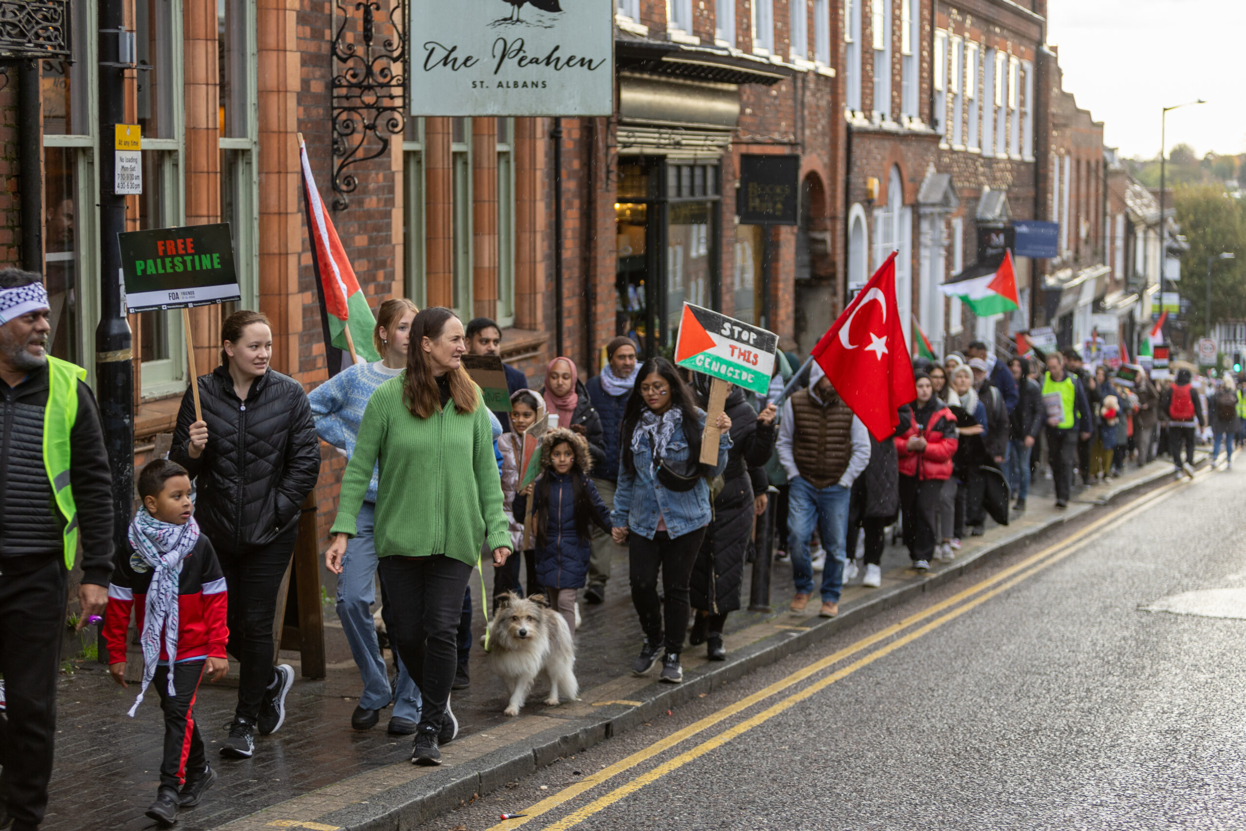 A pro-Palestine protest march in St Albans. Photo: Toby Shepheard.
