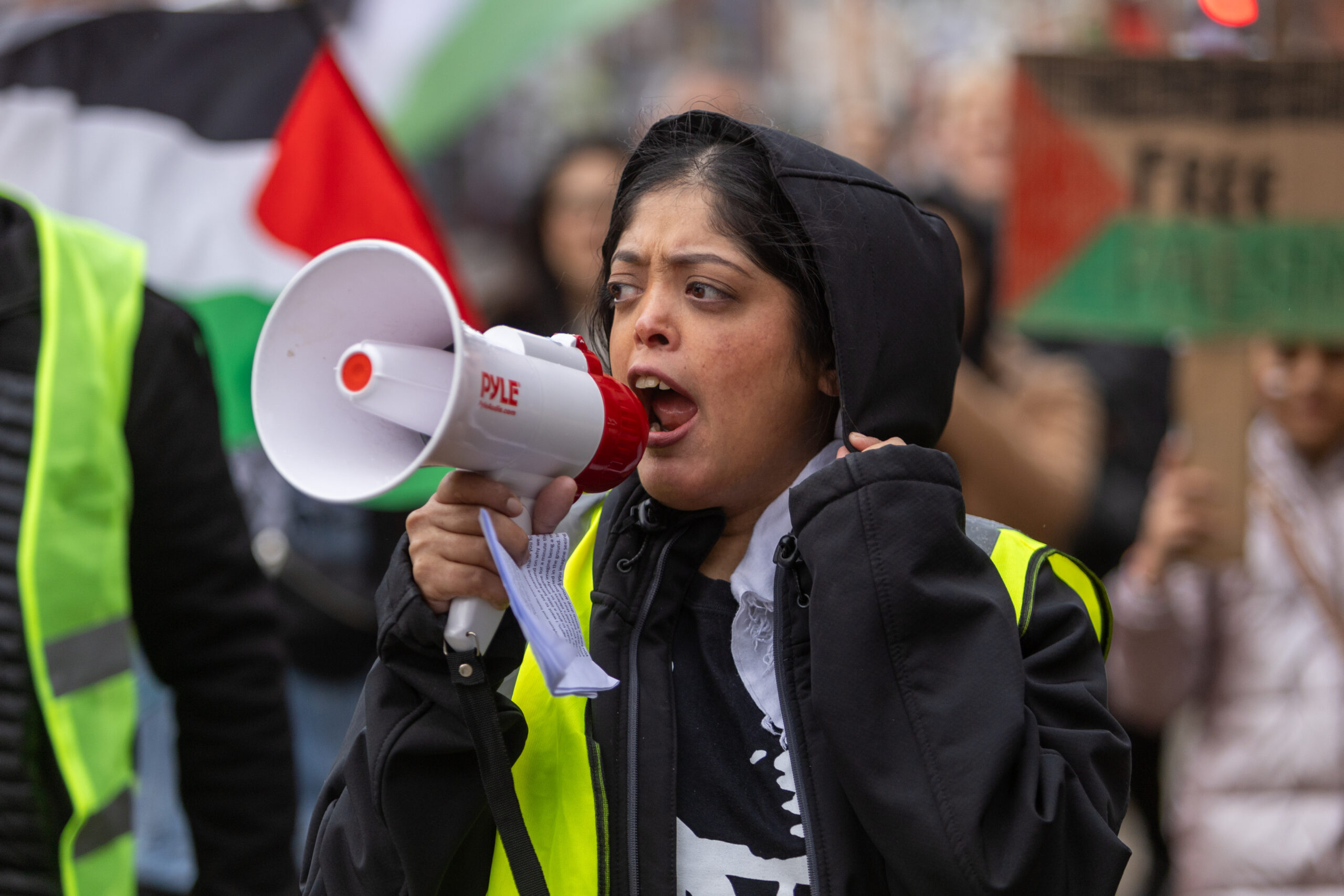 A pro-Palestine protest march in St Albans. Photo: Toby Shepheard.