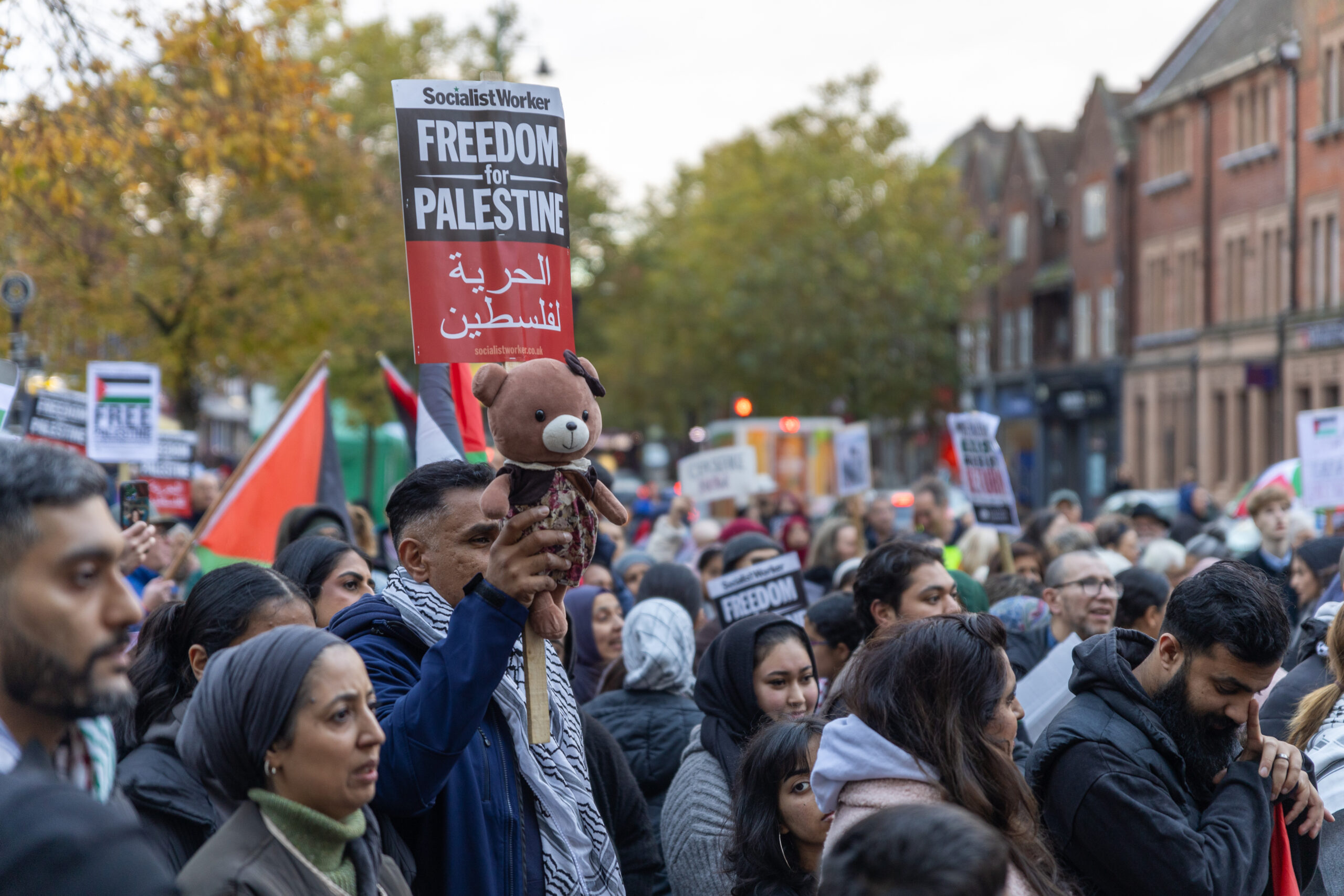 A pro-Palestine protest march in St Albans. Photo: Toby Shepheard.