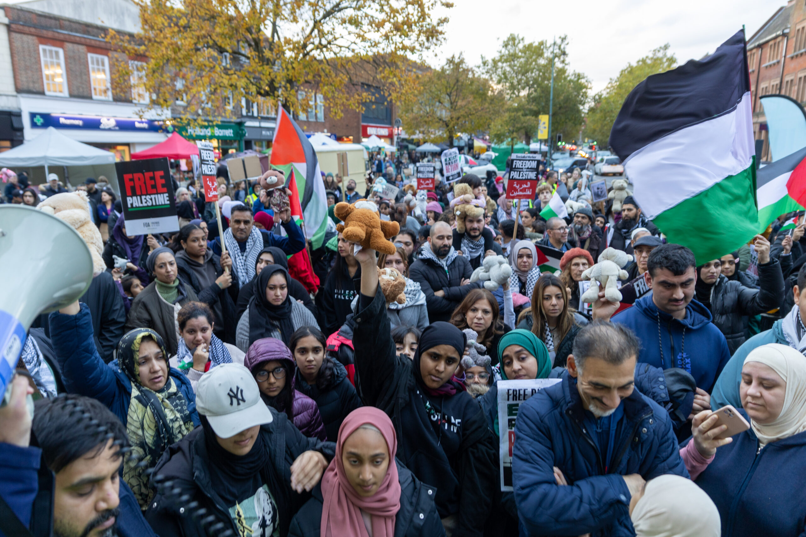 A pro-Palestine protest march in St Albans. Photo: Toby Shepheard.
