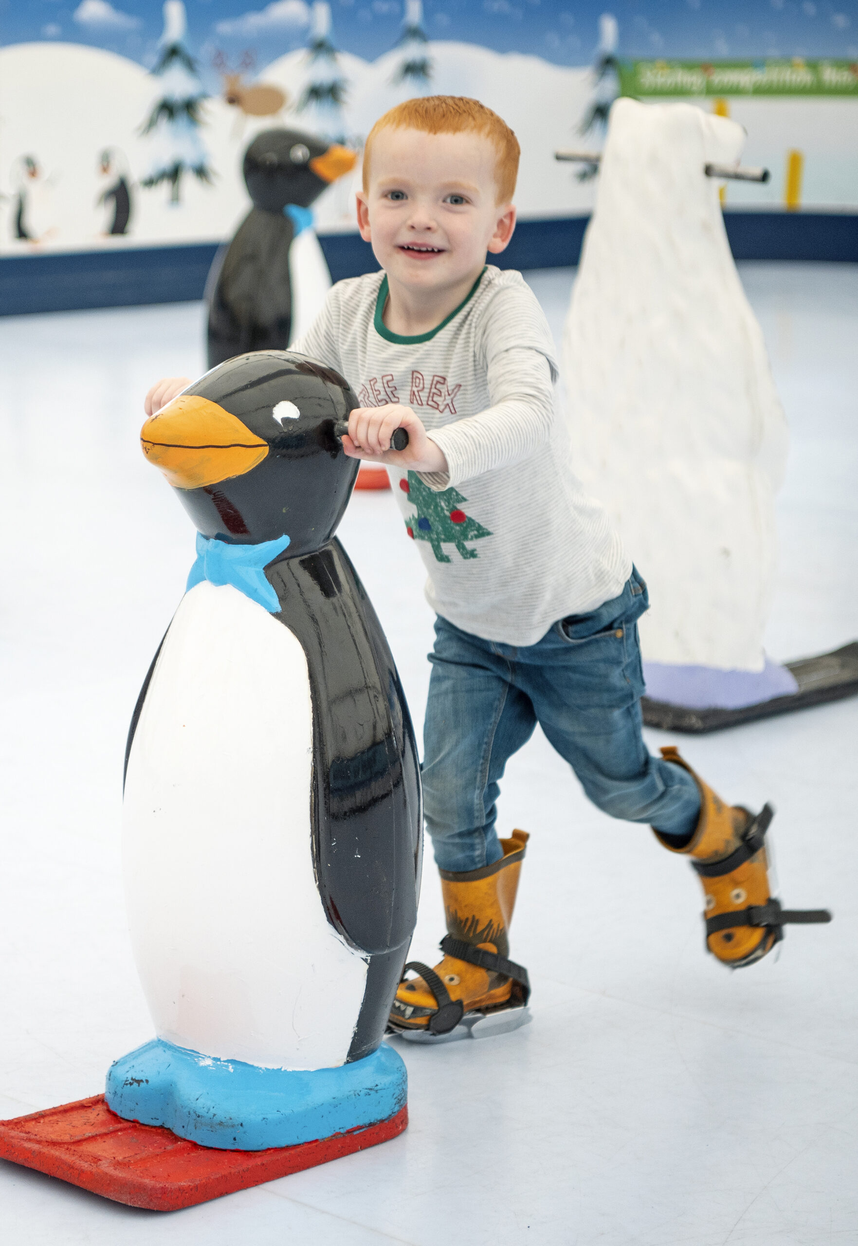 Enjoy festive fun at Willows Activity Farm.