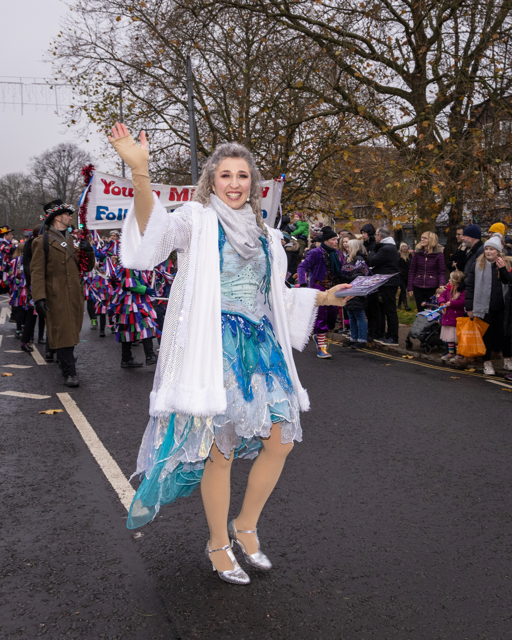 Harpenden Christmas Carnival. Photo: Steve Collins
