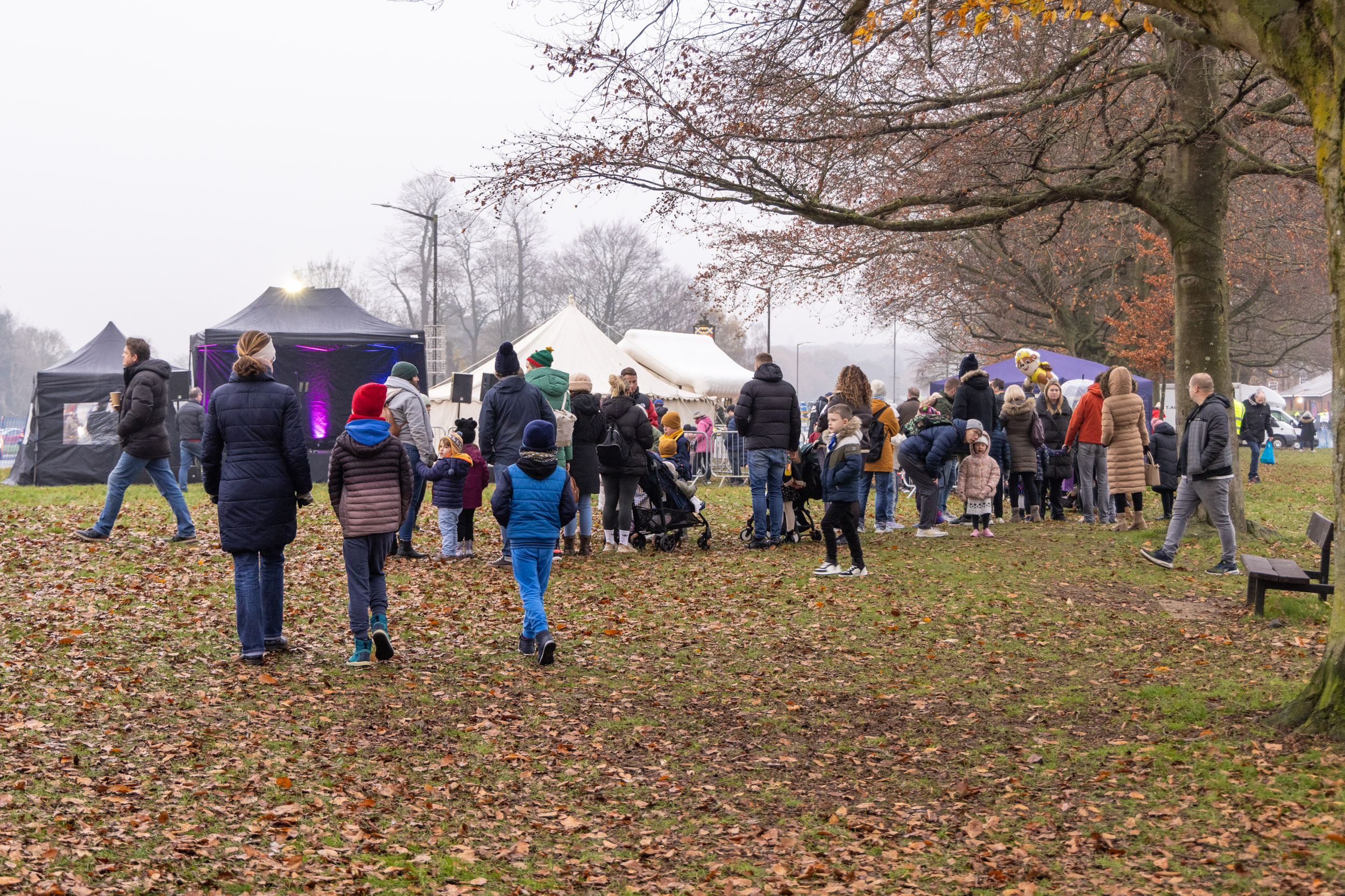 Harpenden Christmas Carnival. Photo: Steve Collins