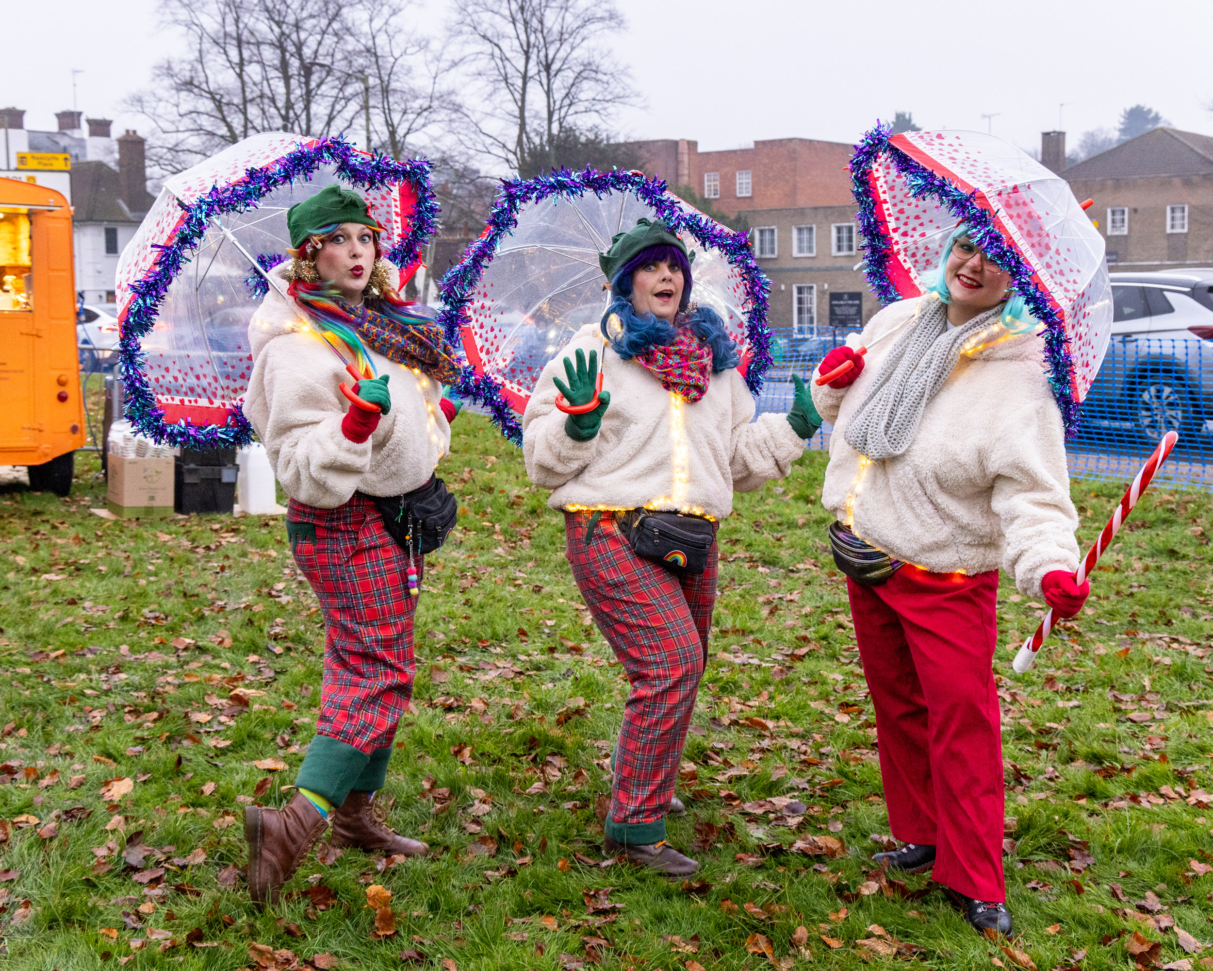 Harpenden Christmas Carnival. Photo: Steve Collins