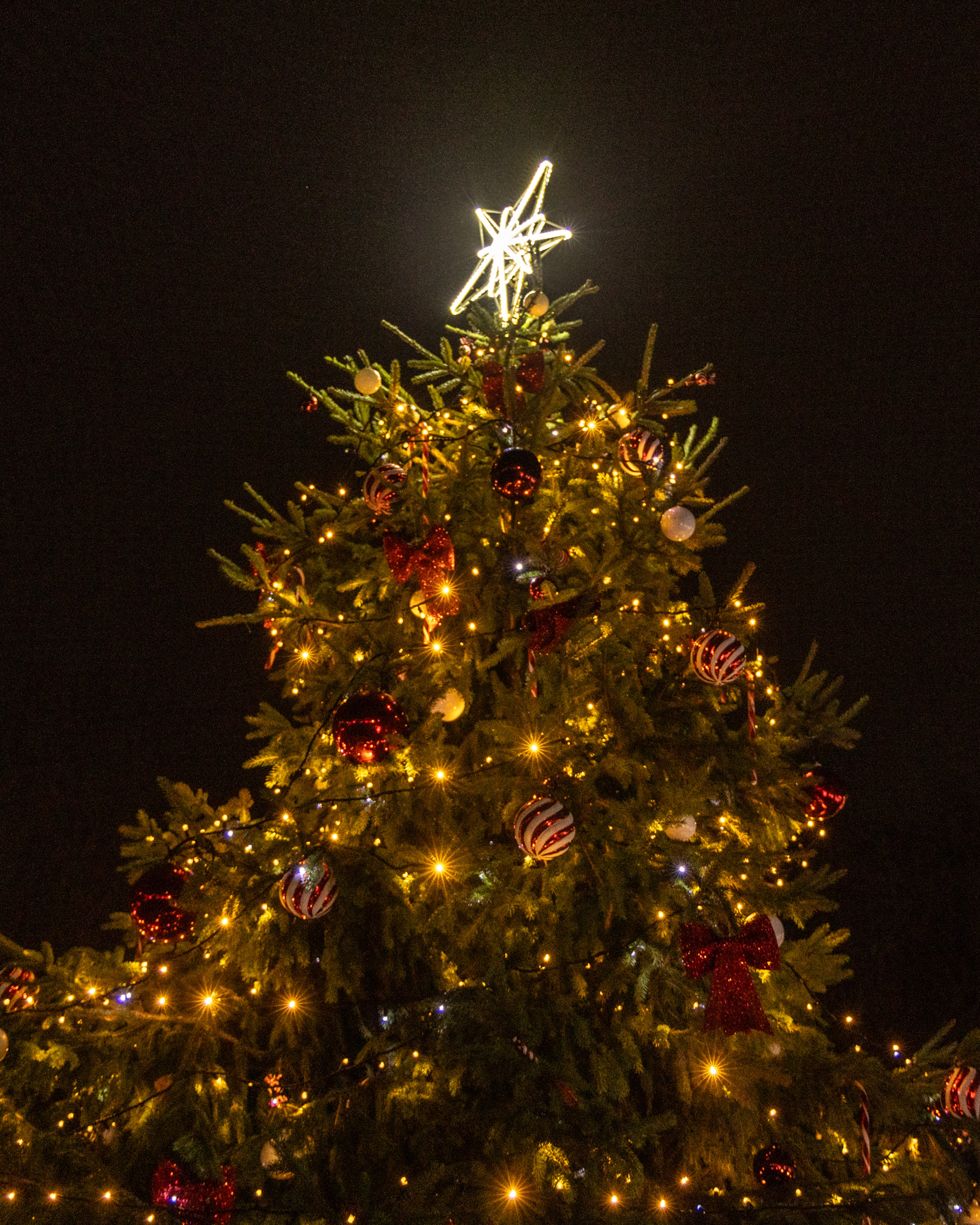 Christmas truly arrived in St Albans with thousands of people flocking to the city centre for the annual Christmas Cracker on Sunday. Among the attractions in St Peter’s Street was live music, fairground rides, a Santa’s grotto, street entertainers, a snow globe, sideshow games, street theatre and around 100 market stalls selling hot food, drinks and seasonal gifts. There will also be a guest appearance from a celebrity – CBeebies and Discovery Plus star Maddie Moate who stars as Tinkerbell in this year’s Alban Arena pantomime, The All New Adventures of Peter Pan – The Pantomime Sequel. The Christmas Cracker is organised by SADC and part-funded by the Government’s Shared Prosperity Fund. Saturday saw The Maltings Shopping Centre kick off the festivities with an appearance by the Mardi Gras Parade Band. Next Sunday will see the return of Harpenden Christmas Carnival and lights switch-on. Photos: John Andrews, Craig Shepheard and Stephanie Belton Christmas Cracker goes with a bang!