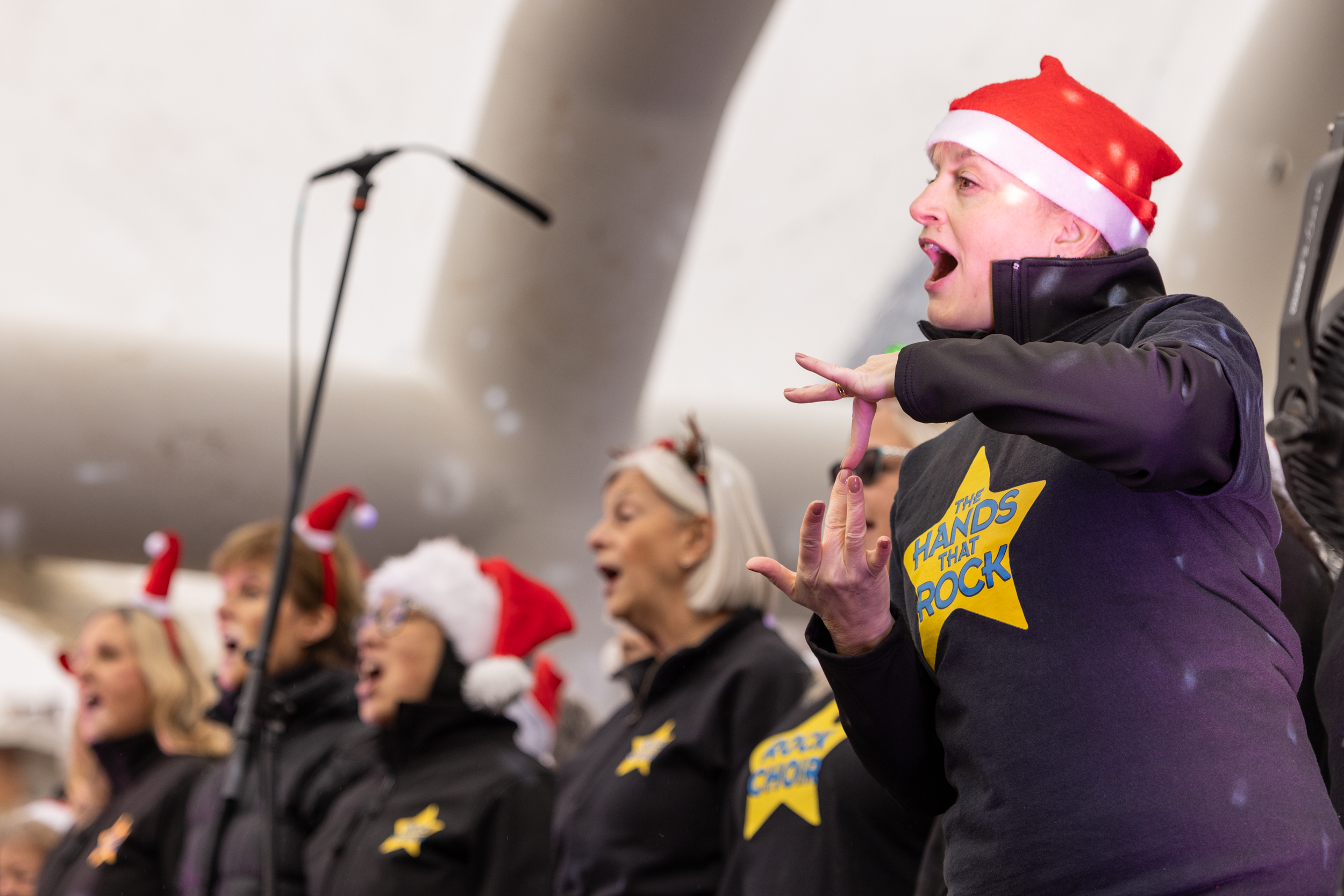 Harpenden Christmas Carnival. Photo: Steve Collins