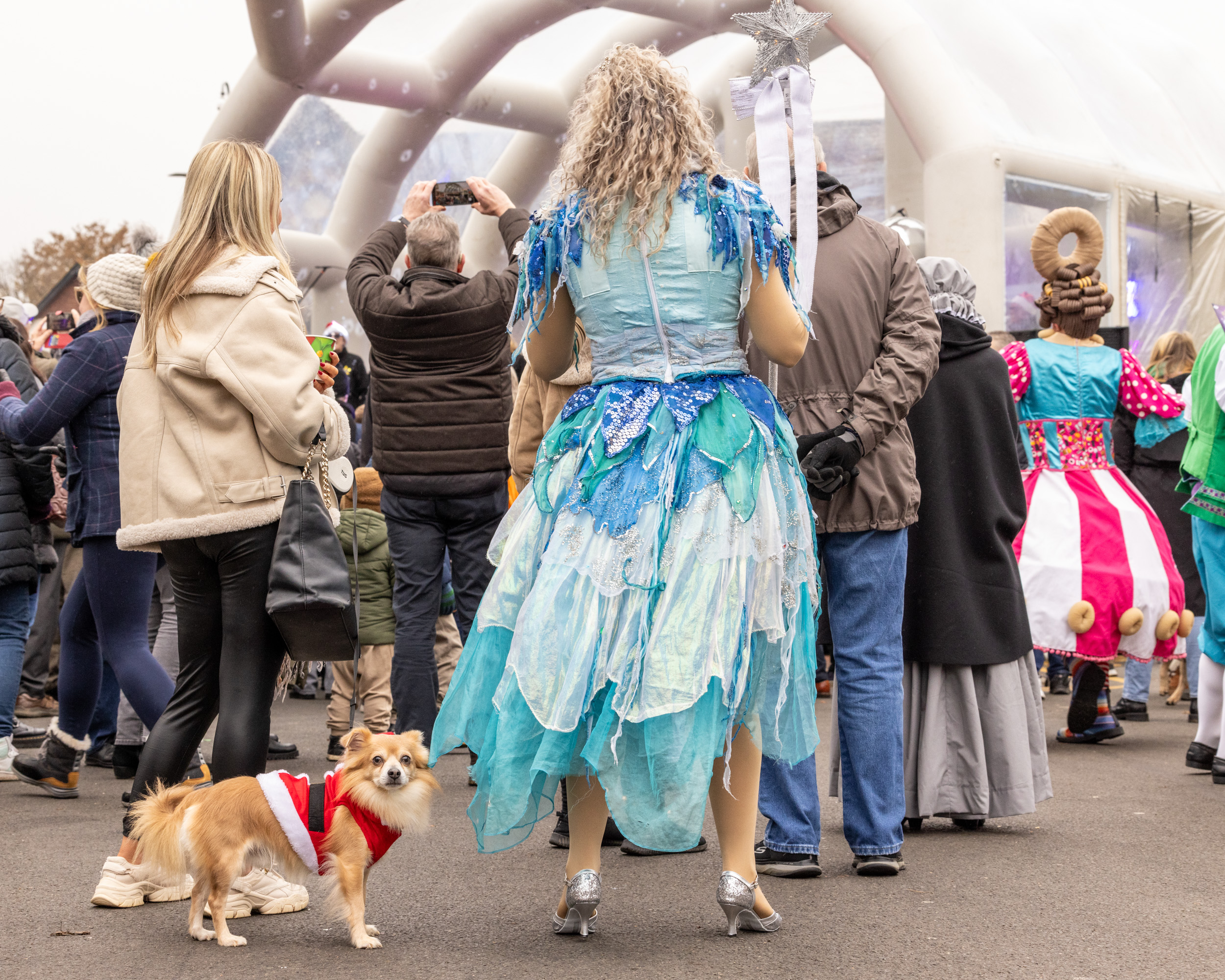Harpenden Christmas Carnival. Photo: Steve Collins