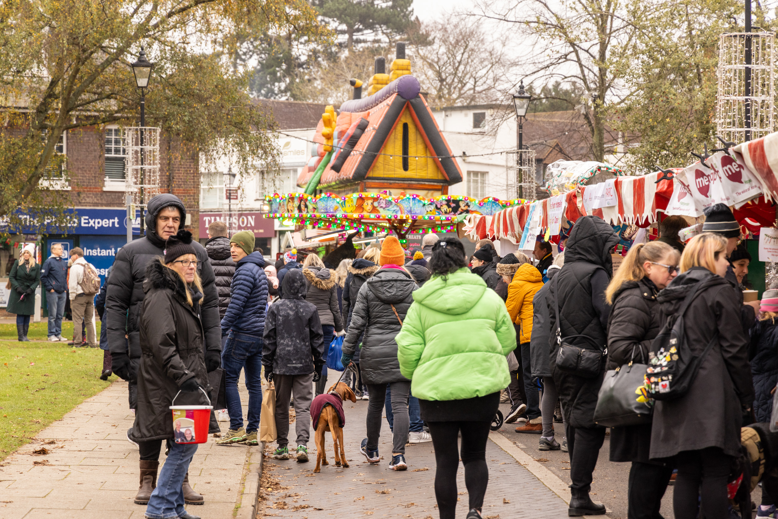 Harpenden Christmas Carnival. Photo: Steve Collins