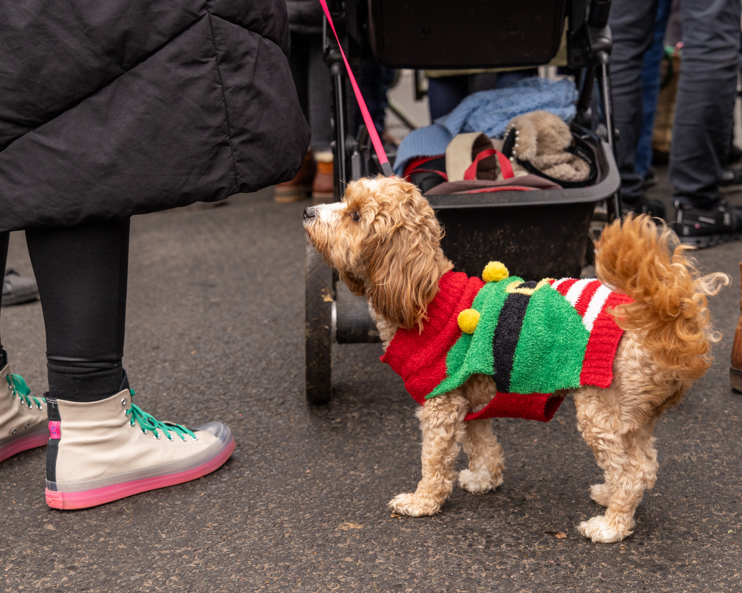 Harpenden Christmas Carnival. Photo: Steve Collins