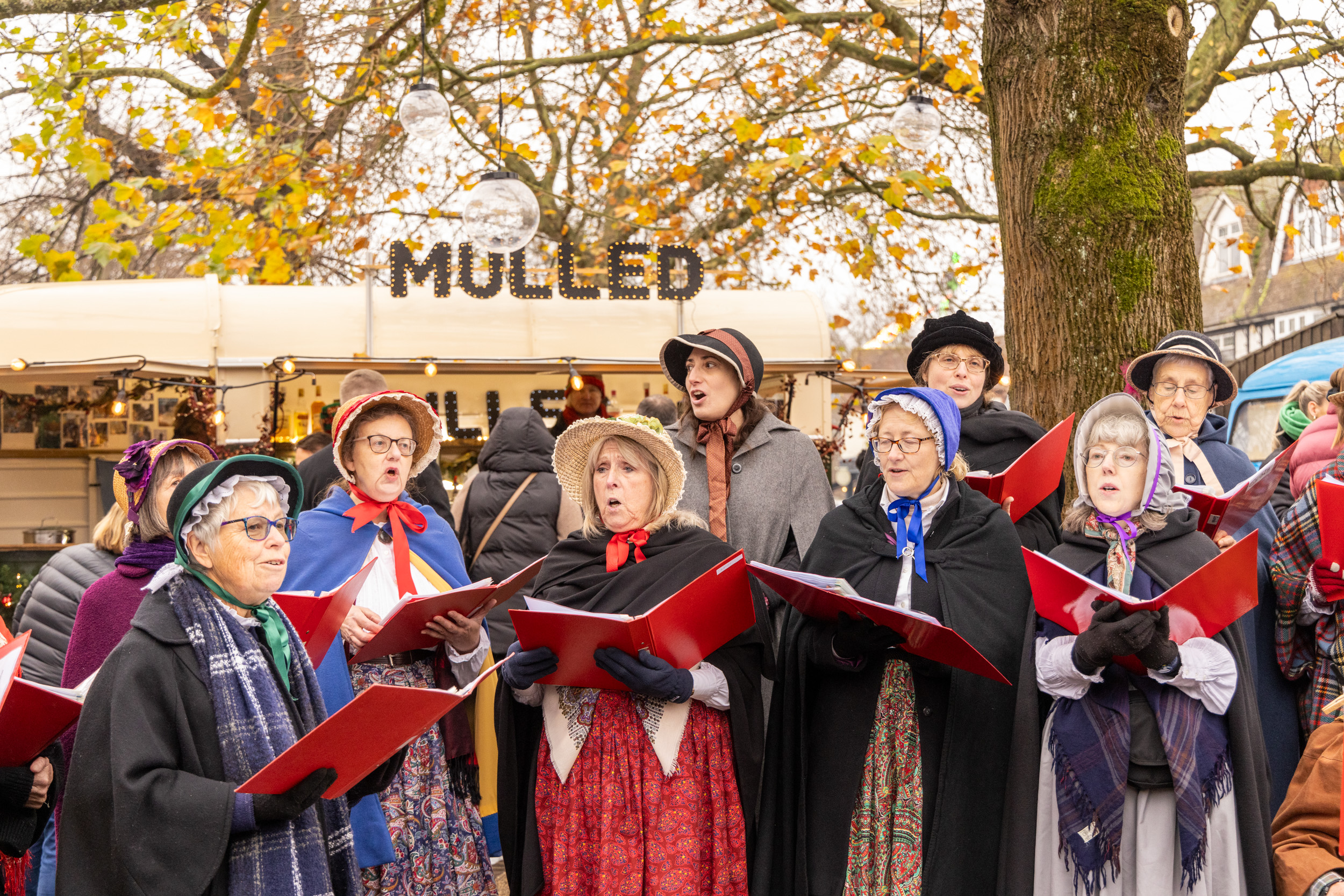Harpenden Christmas Carnival. Photo: Steve Collins