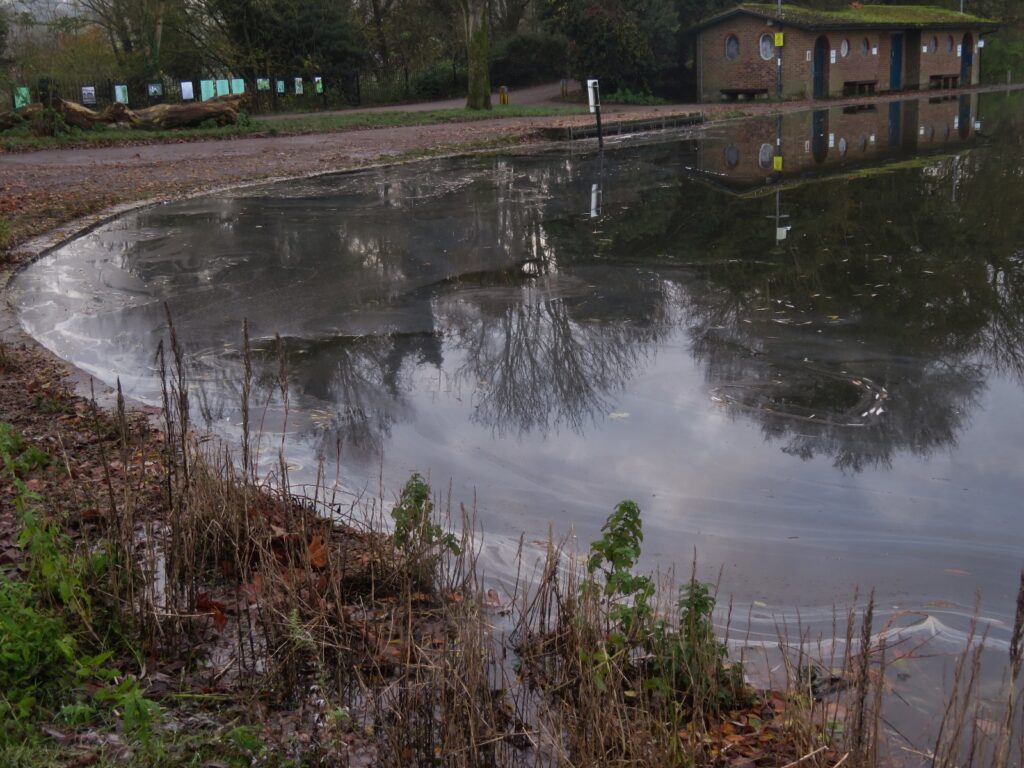 Oil on the surface downsteam of St Michael’s Bridge. Photo: Angela Mellen.