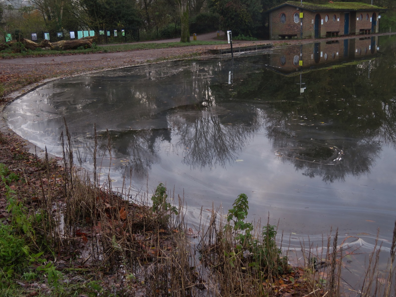 Oil on the surface downsteam of St Michael’s Bridge. Photo: Angela Mellen.