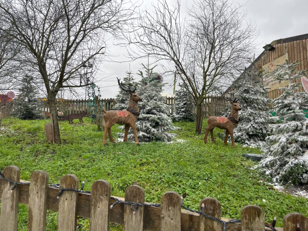 Willows Activity Farm Santa Spectacular is back for Christmas!