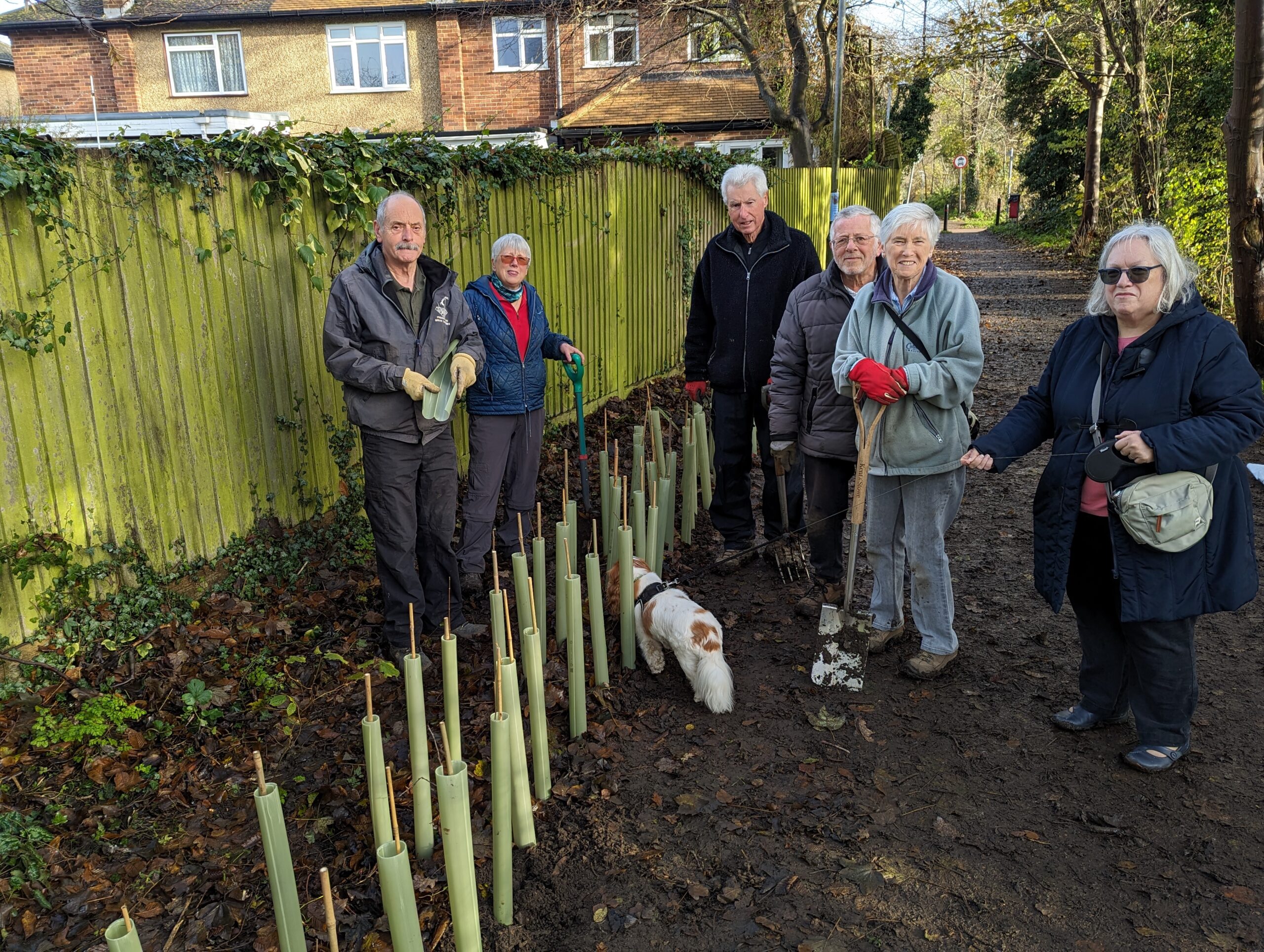 The Friends of Jersey Lane planting the new hedgerow.
