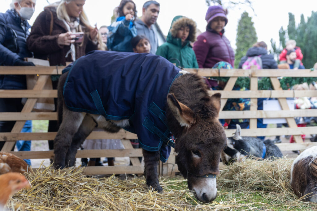 St Albans Cathedral's Live Nativity. Photo: Toby Shepheard.