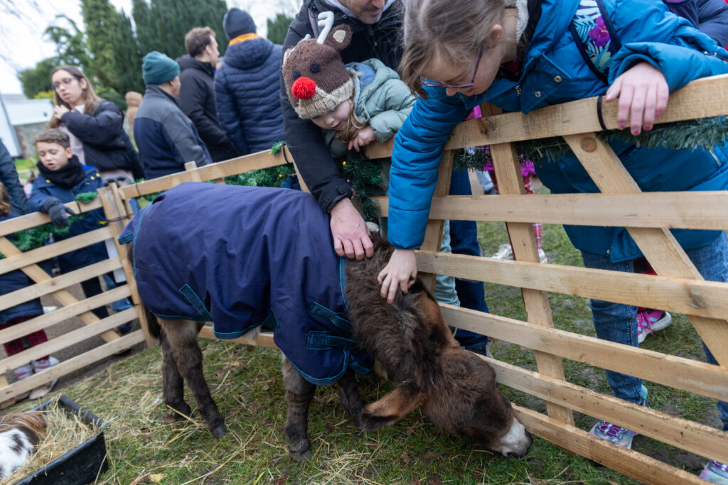 St Albans Cathedral's Live Nativity. Photo: Toby Shepheard.