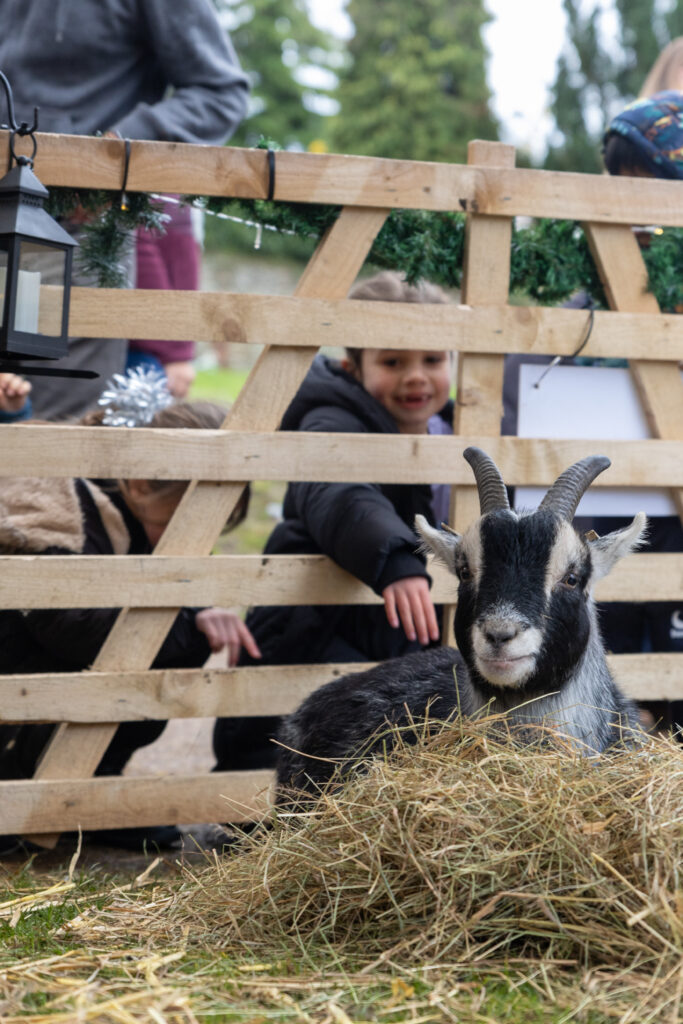 St Albans Cathedral's Live Nativity. Photo: Toby Shepheard.