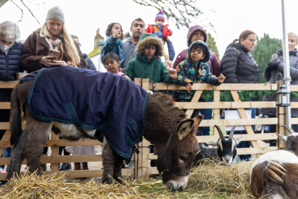 St Albans Cathedral's Live Nativity. Photo: Toby Shepheard.