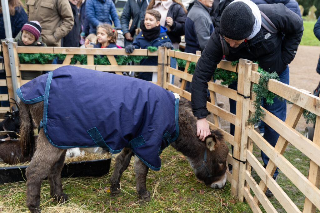 St Albans Cathedral's Live Nativity. Photo: Toby Shepheard.