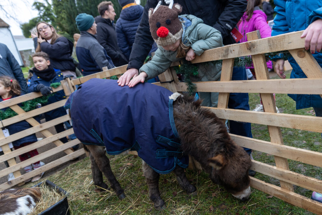 St Albans Cathedral's Live Nativity. Photo: Toby Shepheard.