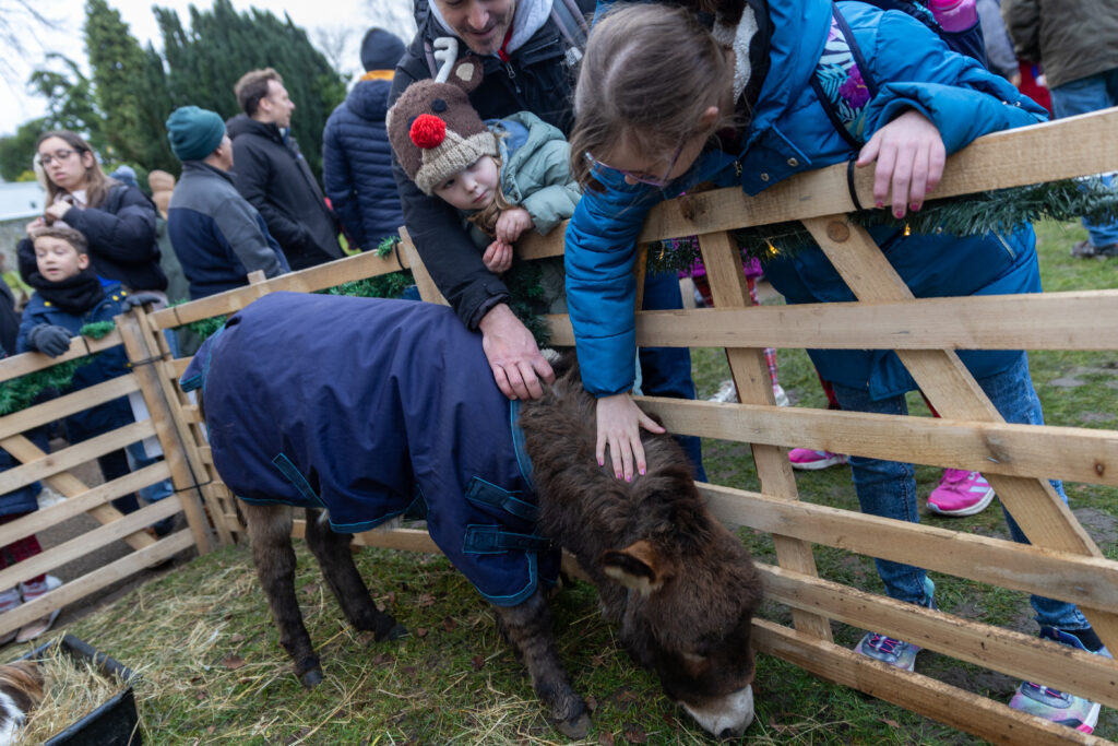 St Albans Cathedral's Live Nativity. Photo: Toby Shepheard.