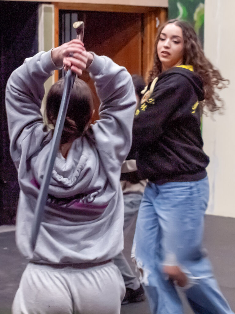 Rehearsals for She Kills Monsters at the Abbey Theatre.