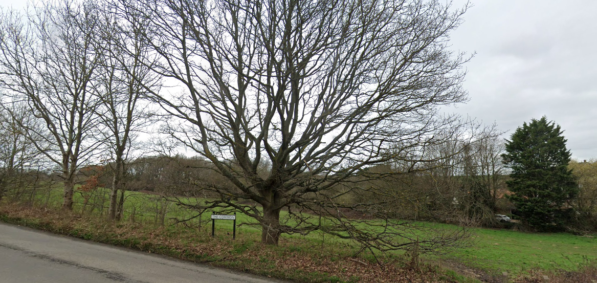 Kinsbourne Green Common. Photo: Google