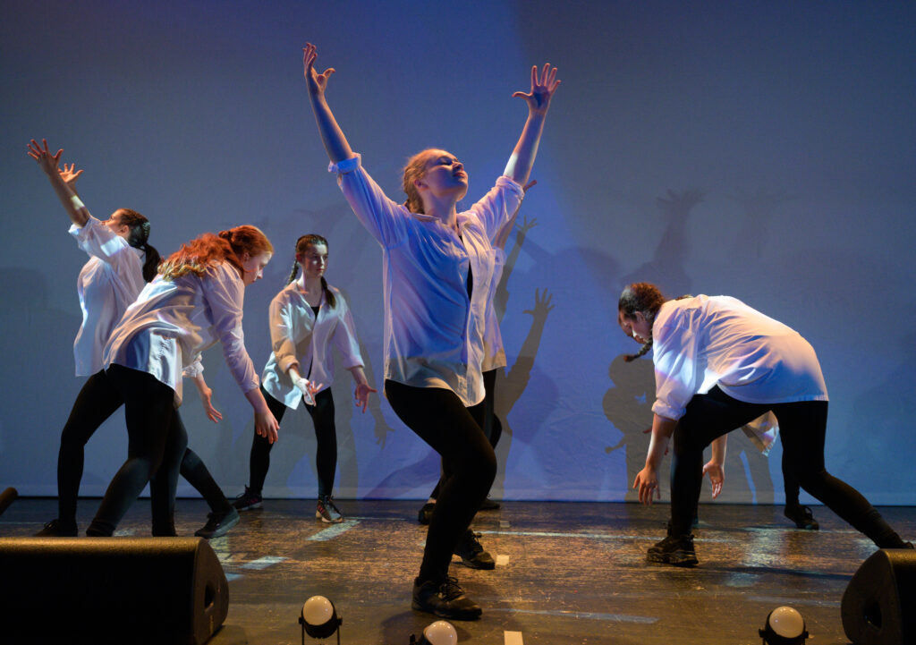 St Albans Gang Show 2024. Photo: Roger Morton