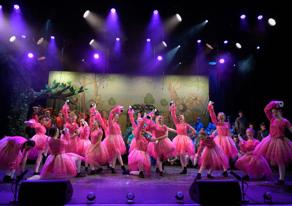 St Albans Gang Show 2024. Photo: Roger Morton