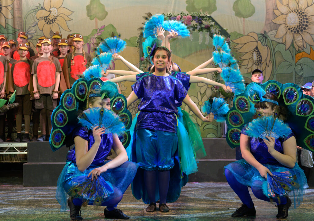 St Albans Gang Show 2024. Photo: Roger Morton