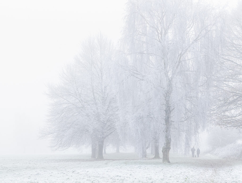 Harpenden Winter Walk by Steve Collins