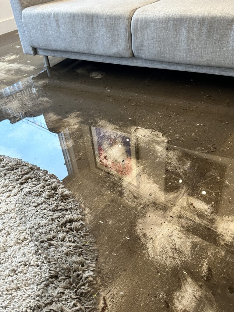 Flooding inside Molasses House.