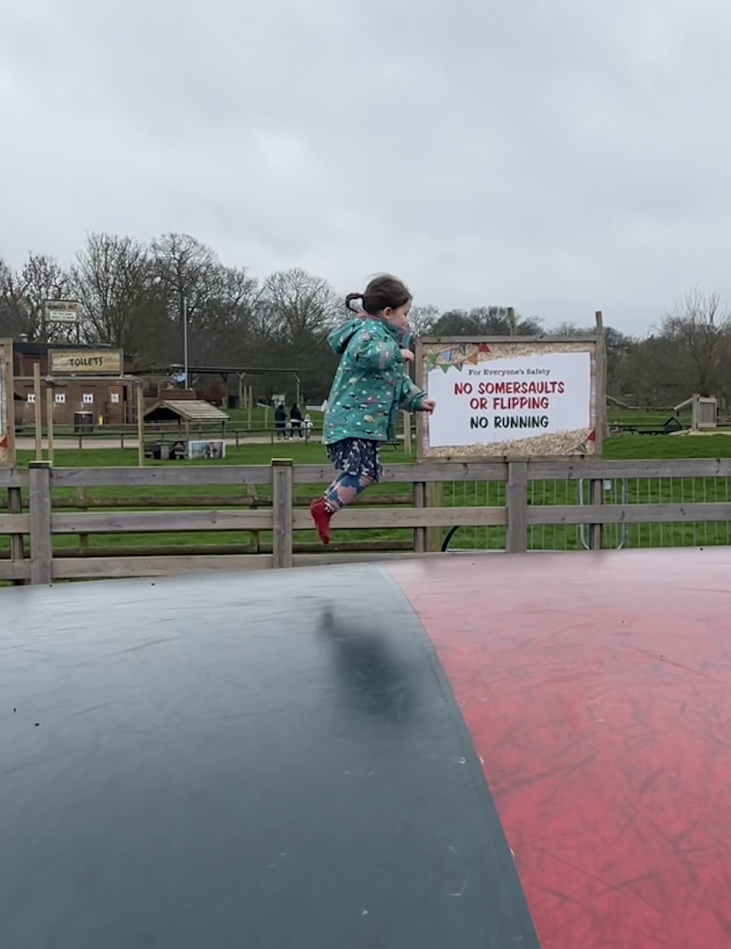 February Frolics is at Willows Activity Farm this half-term.