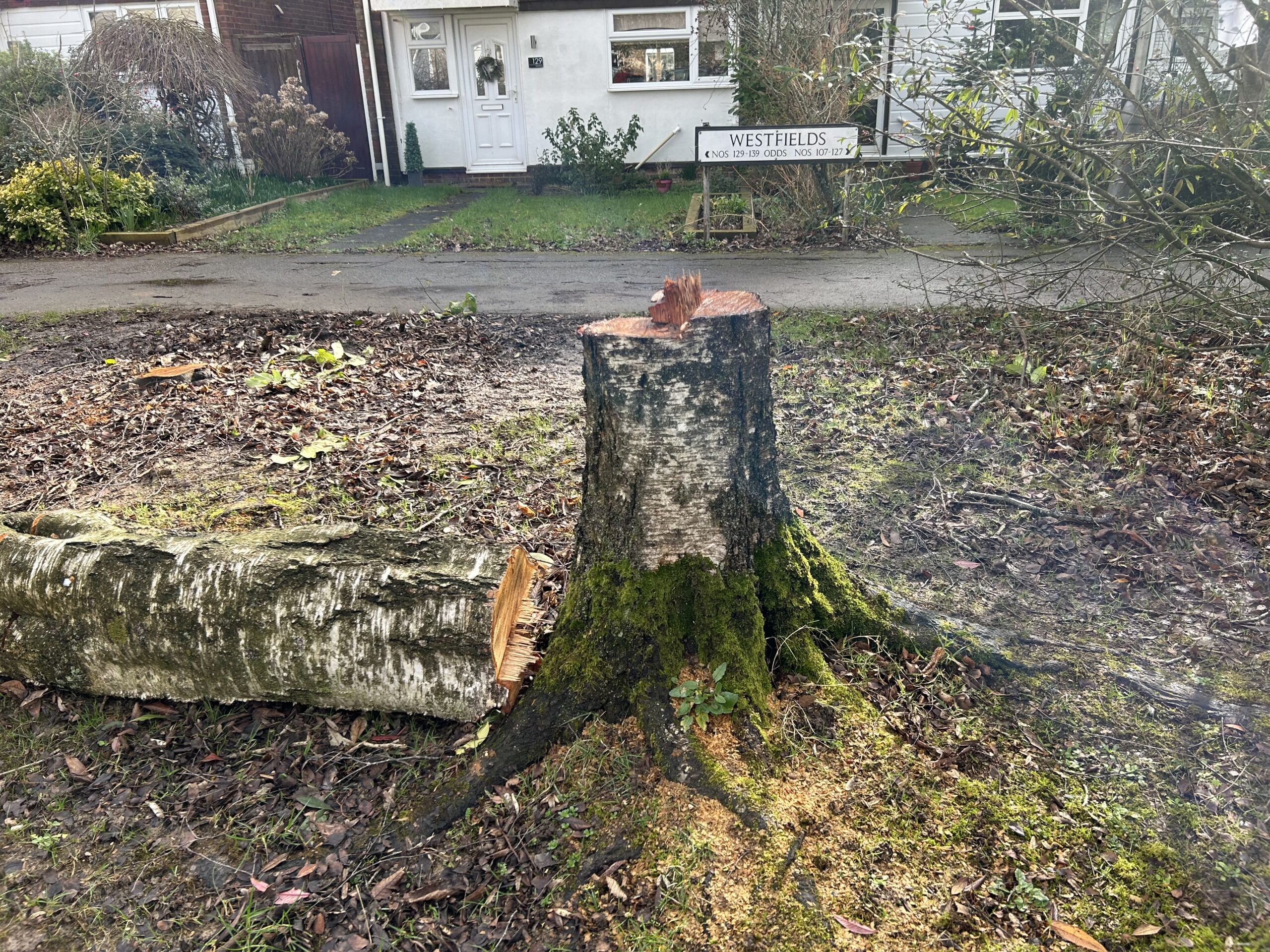 Mature trees have been cut down on pockets of green space on the Verulam Estate.