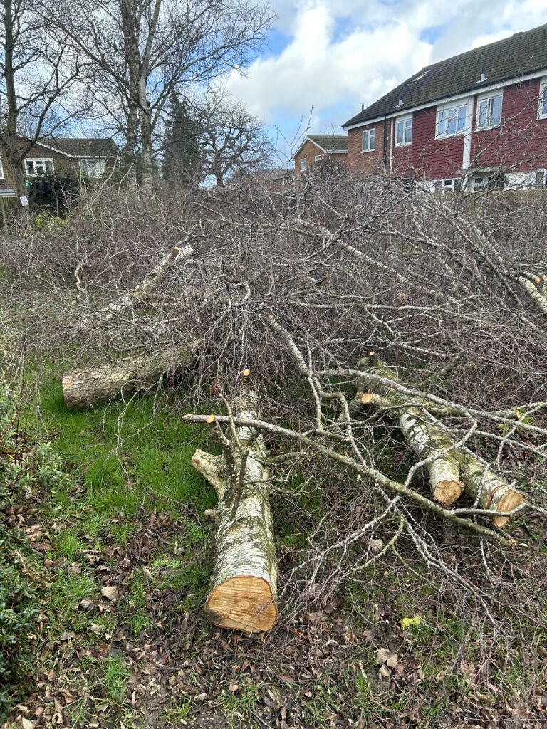 Mature trees have been cut down on pockets of green space on the Verulam Estate.