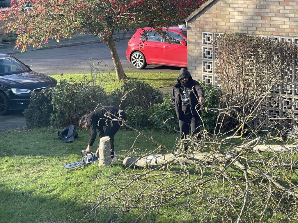 Mature trees have been cut down on pockets of green space on the Verulam Estate.